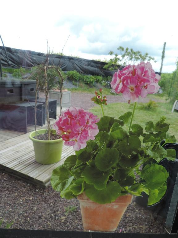 Villa Des Hortensias Paimpol Buitenkant foto